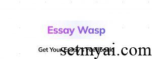 Essay Wasp Homepage