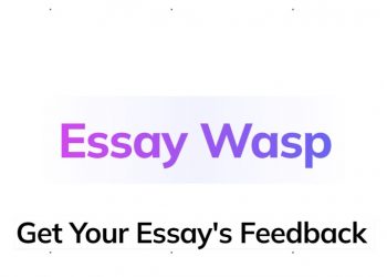 Essay Wasp Homepage