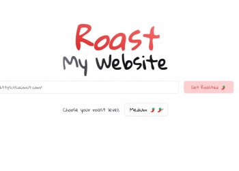 Roast My Website Homepage