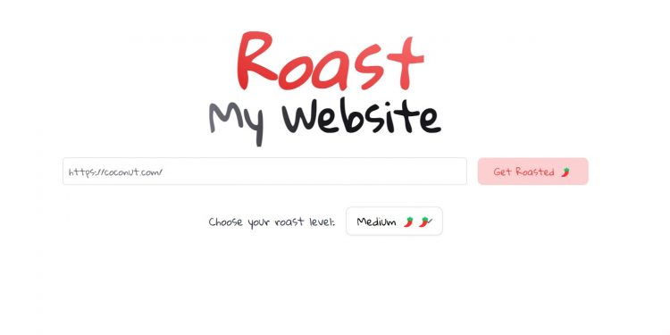 Roast My Website Homepage