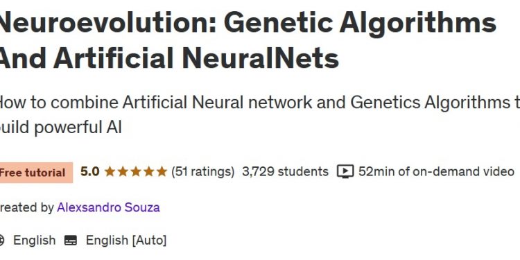 神经进化：遗传算法和人工神经网络 Neuroevolution: Genetic Algorithms And Artificial NeuralNets